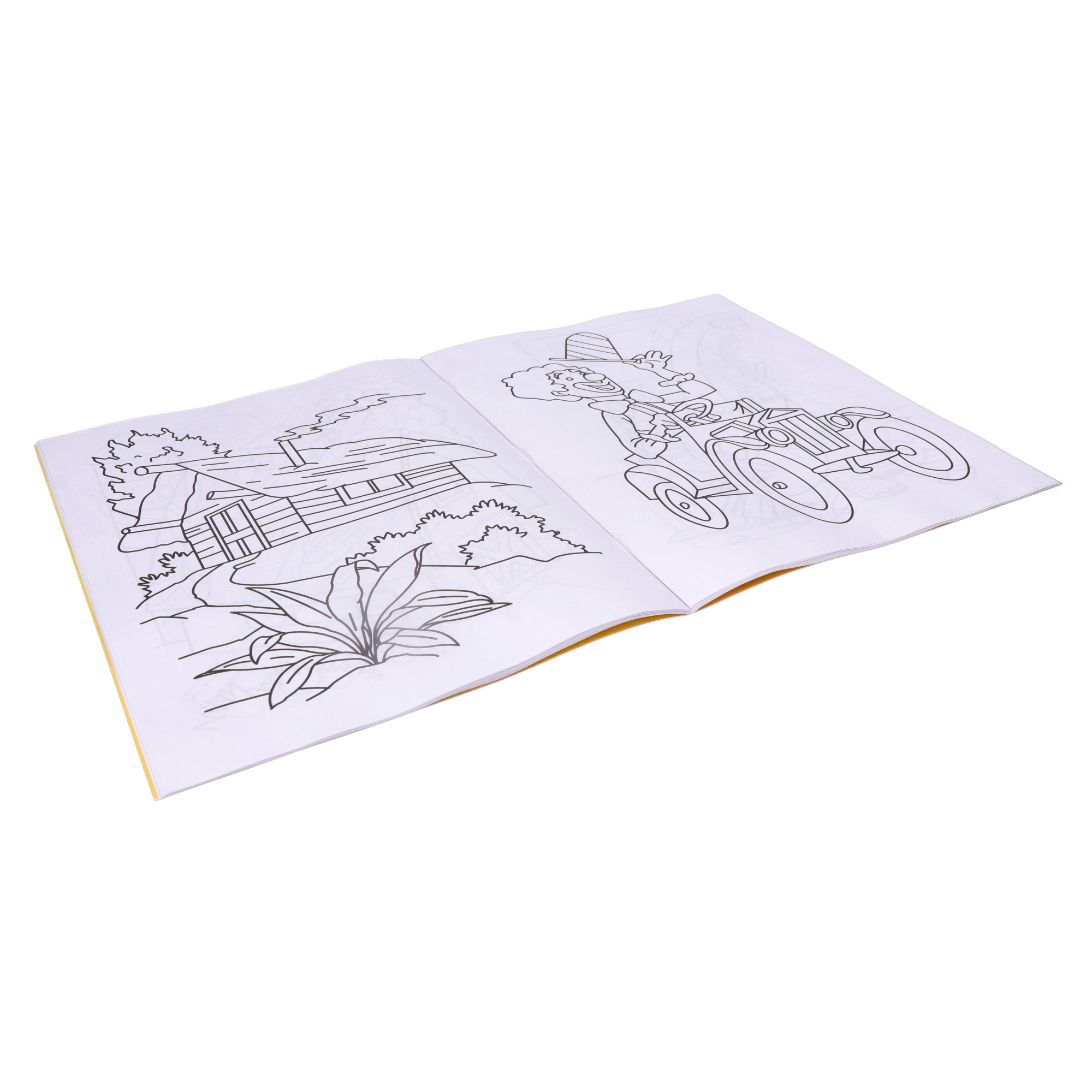Navneet My Big Colouring Book -III and IV Bold, big and eye-catching illustrations.