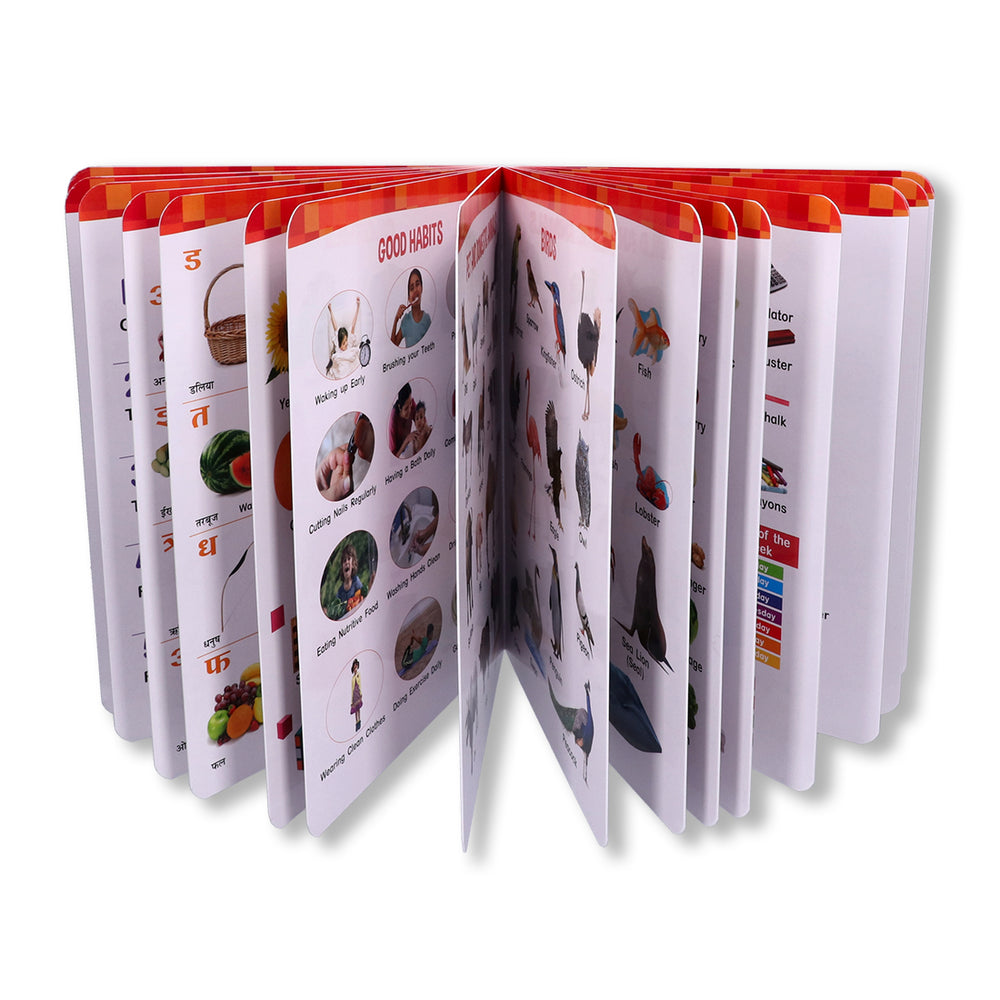 Navneet All In One Board Book (Eng.) - First Early Learning book for Kindergarten - Picture Board book for toddlers and babies - eBook - Animated interactive book - Audio Book