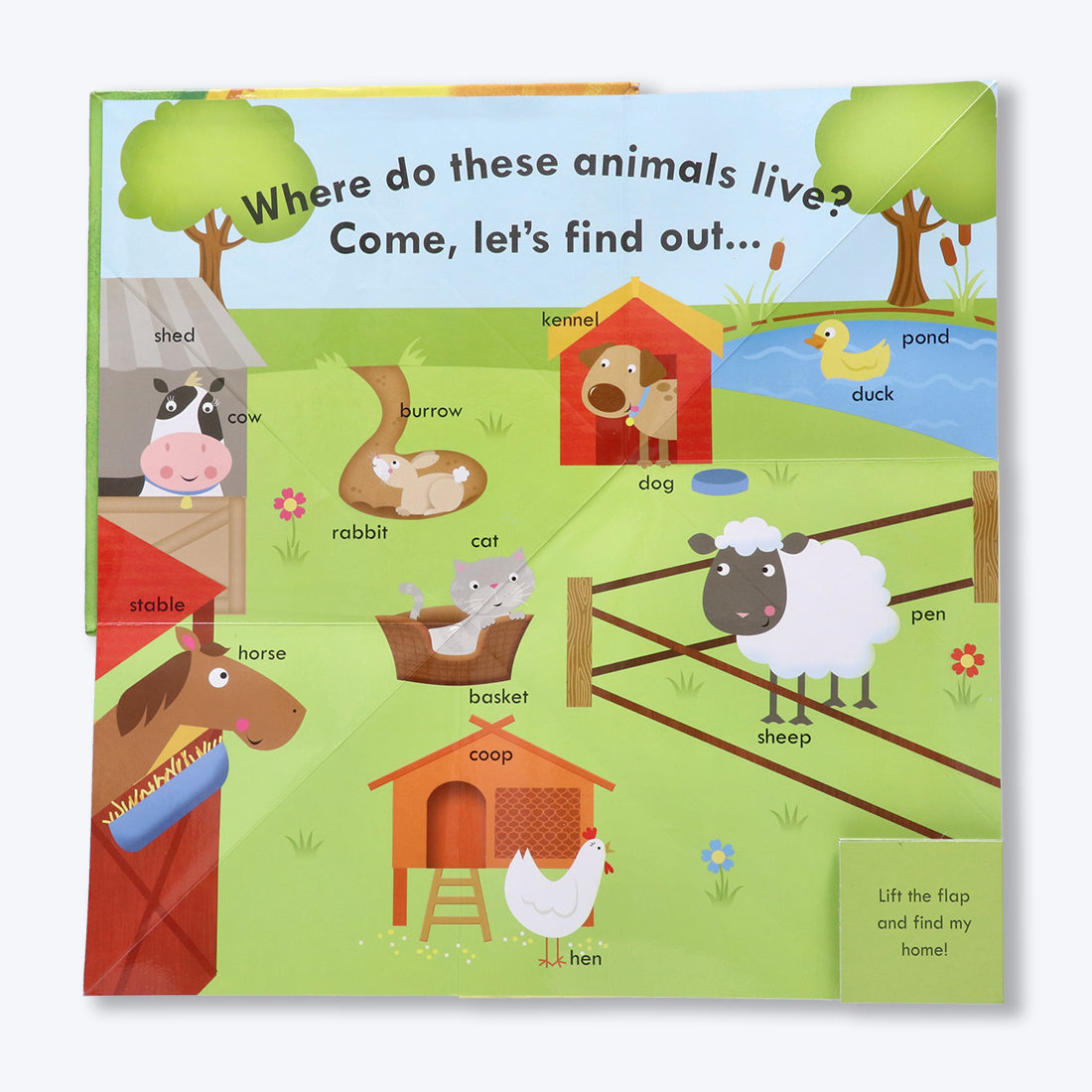 Navneet Flappy Fun Picture Book for preschoolers– Lets meet the Farm Animals- Innovative Pop Up Book for gifting- Learn about farm animals & their homes, babies, sound, food.
