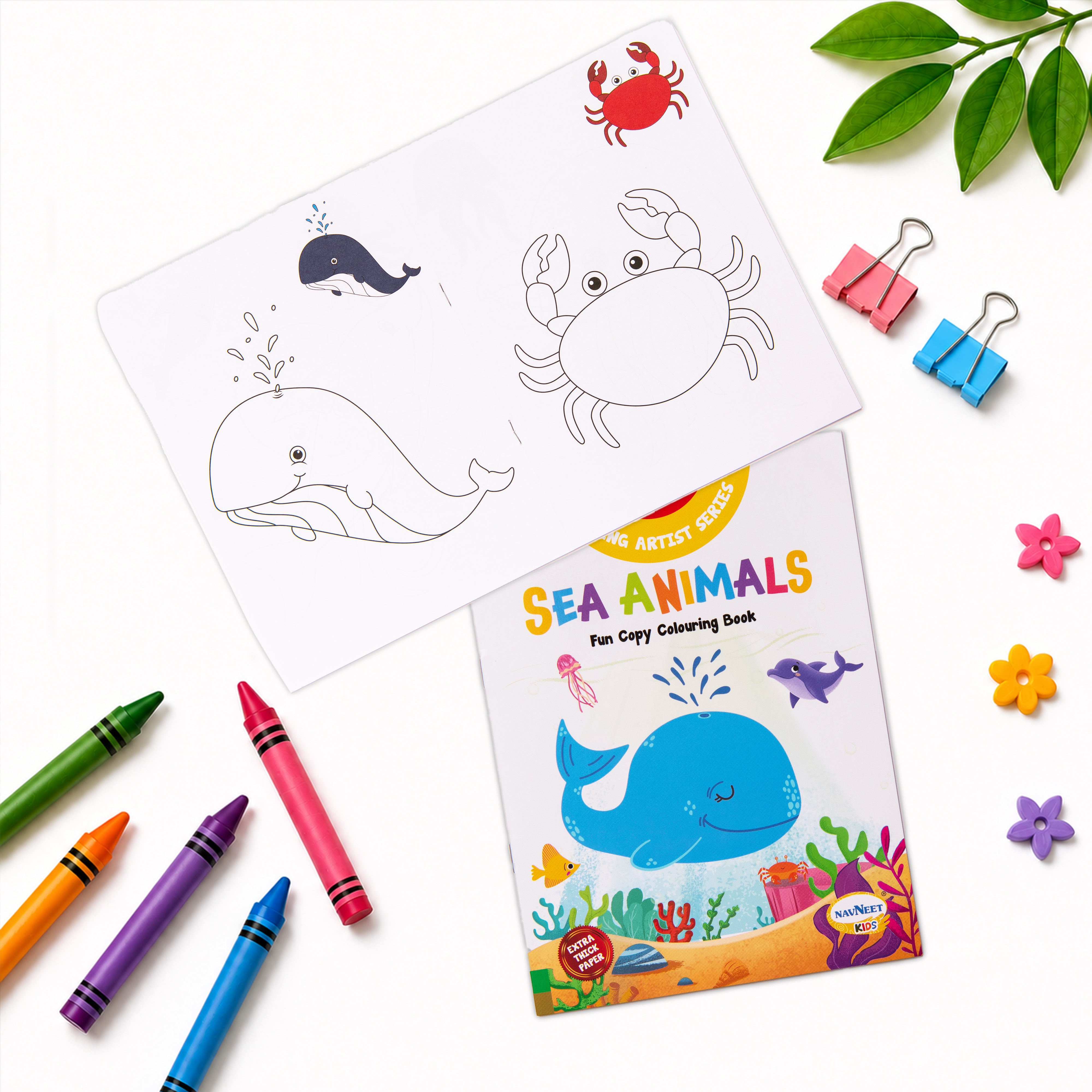 Budding Artist Series-Fun Copy Colouring Book Box Set