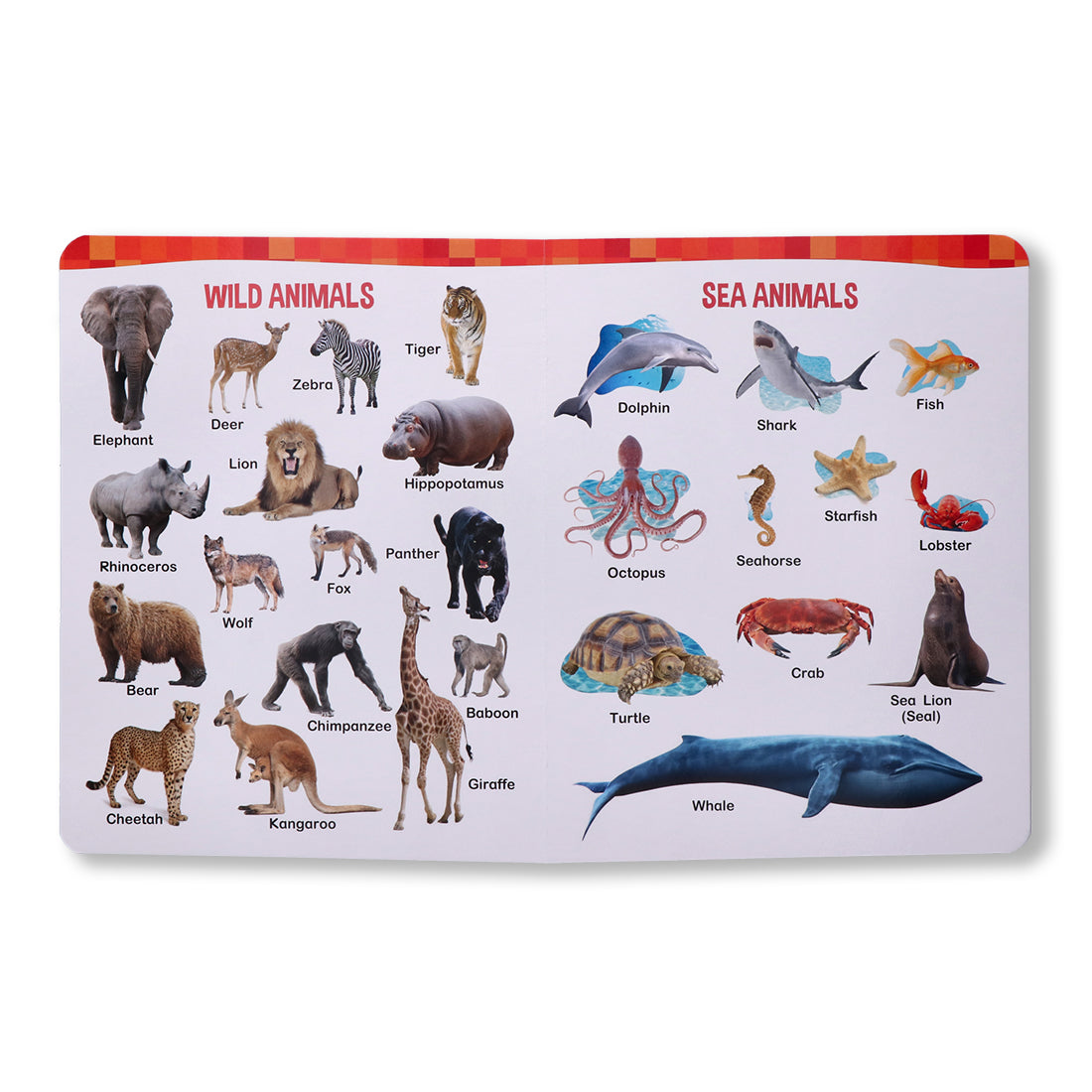 Navneet All In One Board Book (Eng.) - First Early Learning book for Kindergarten - Picture Board book for toddlers and babies - eBook - Animated interactive book - Audio Book