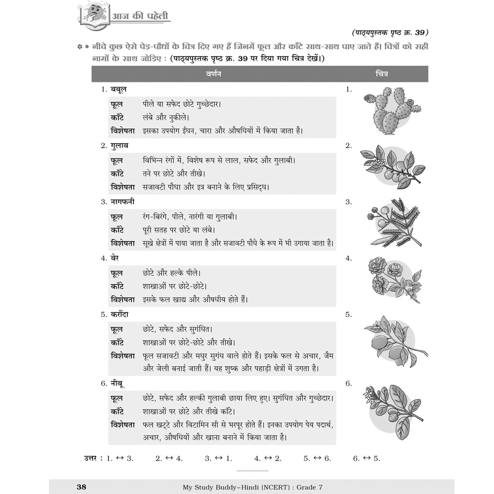 MY STUDY BUDDY - MALHAR HINDI (NCERT) CLASS 7