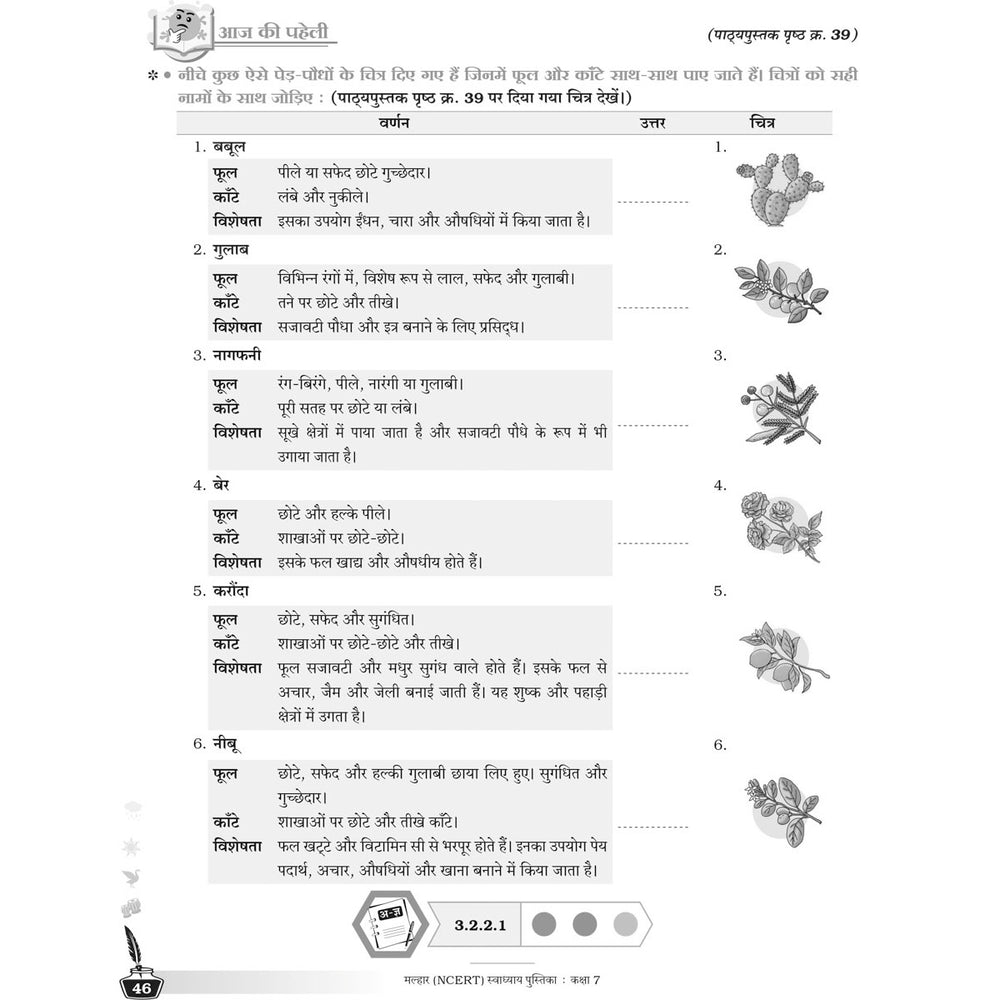NCERT MALHAR HINDI WORKBOOK   |  Class  VII  |
