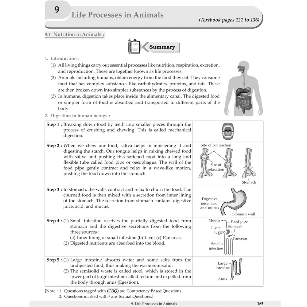 MY STUDY BUDDY - CURIOUSITY SCIENCE (NCERT) CLASS 7