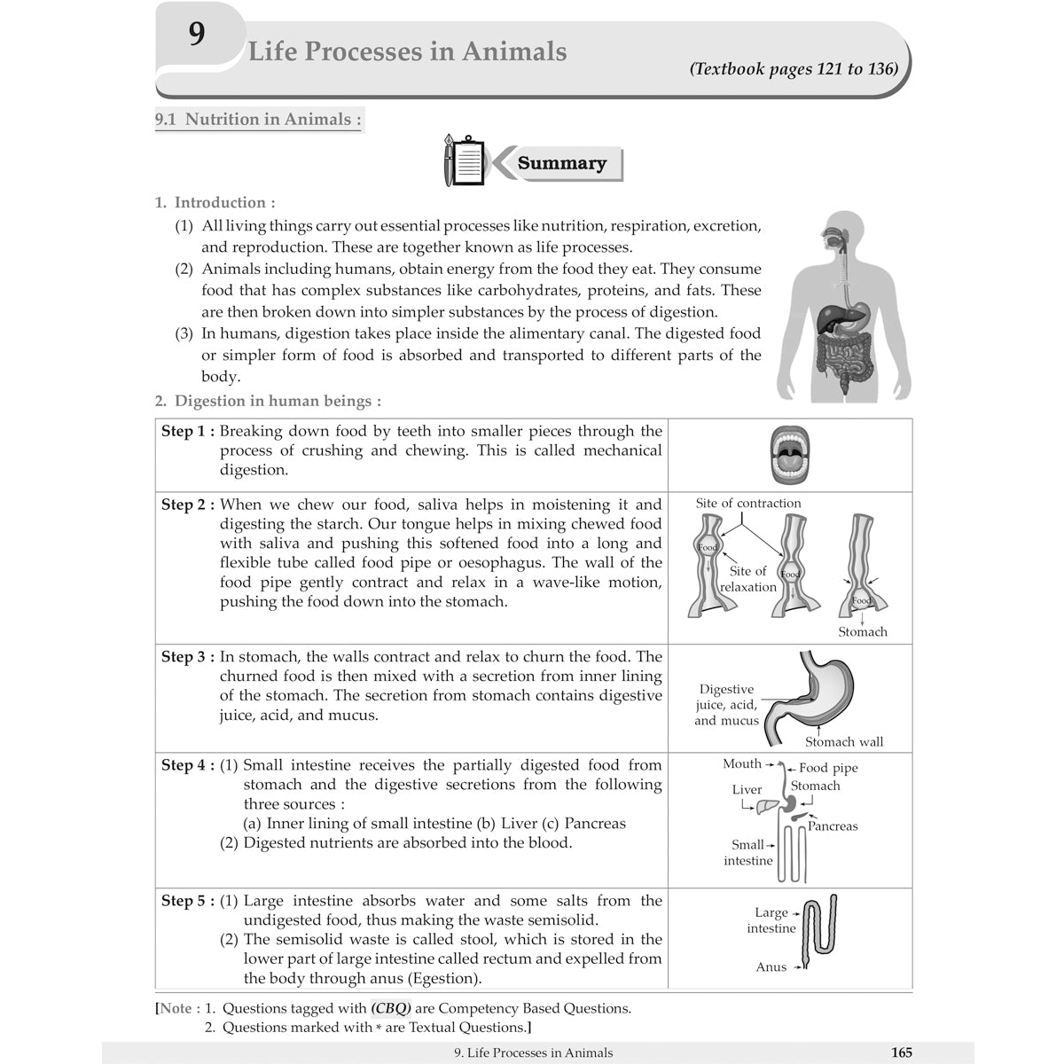 MY STUDY BUDDY - CURIOUSITY SCIENCE (NCERT) CLASS 7
