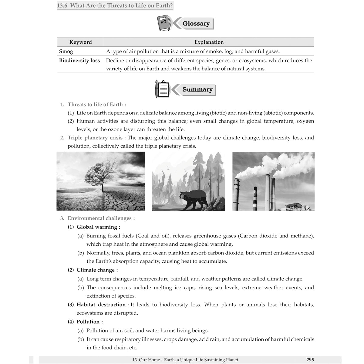 Learn Smart  |    My Study Buddy   |   CURIOSITY SCIENCE (NCERT) CLASS 8  |  Grade8