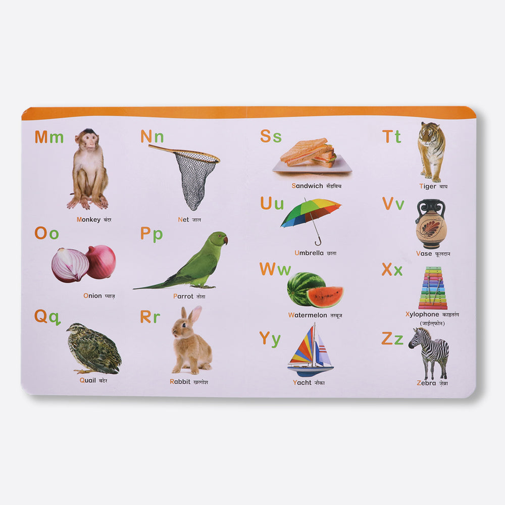 Navneet All In One Board Book (Hindi) - First Early Learning book for Kindergarten - Picture Board book for toddlers and babies - eBook - Animated interactive book - Audio Book