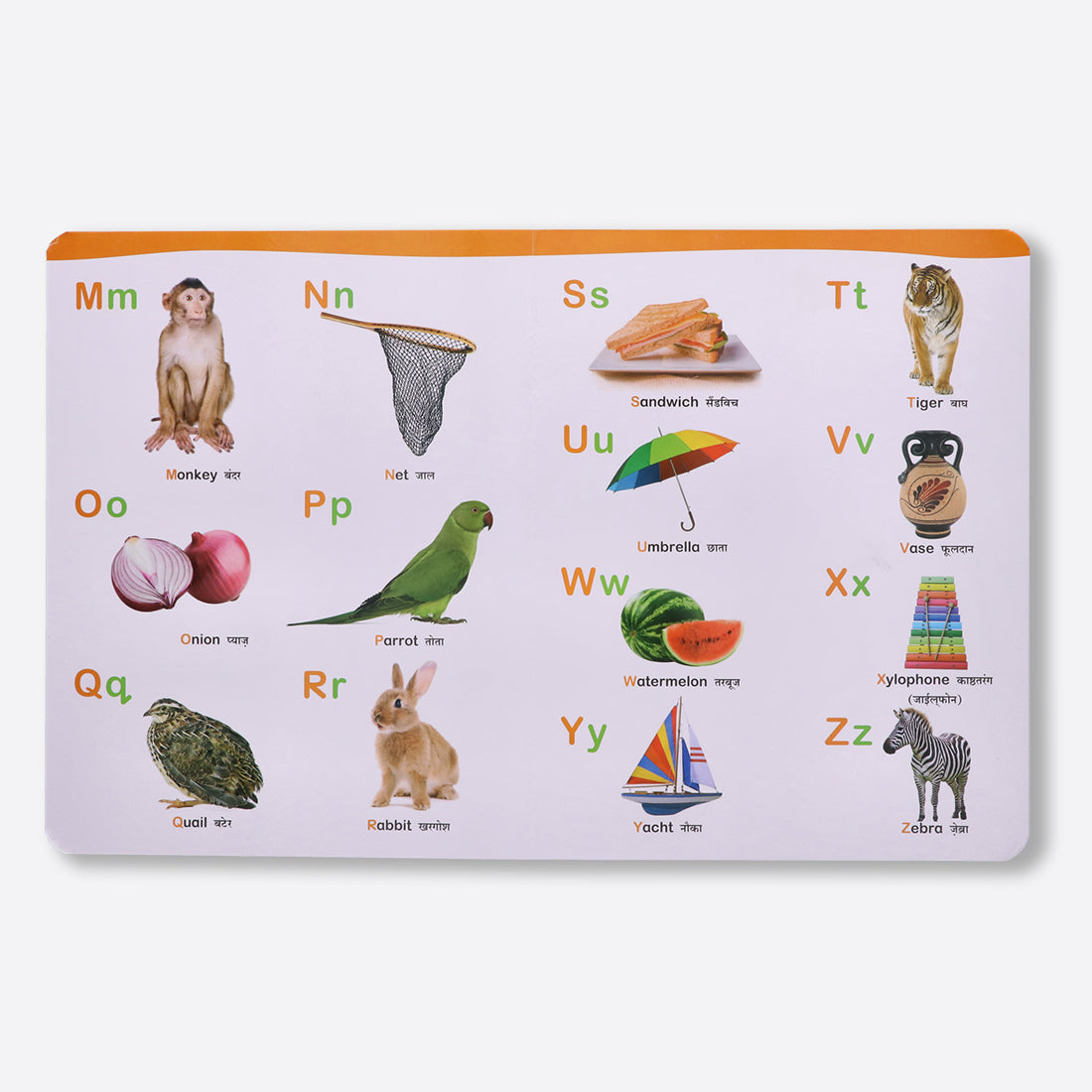 Navneet All In One Board Book (Hindi) - First Early Learning book for Kindergarten - Picture Board book for toddlers and babies - eBook - Animated interactive book - Audio Book