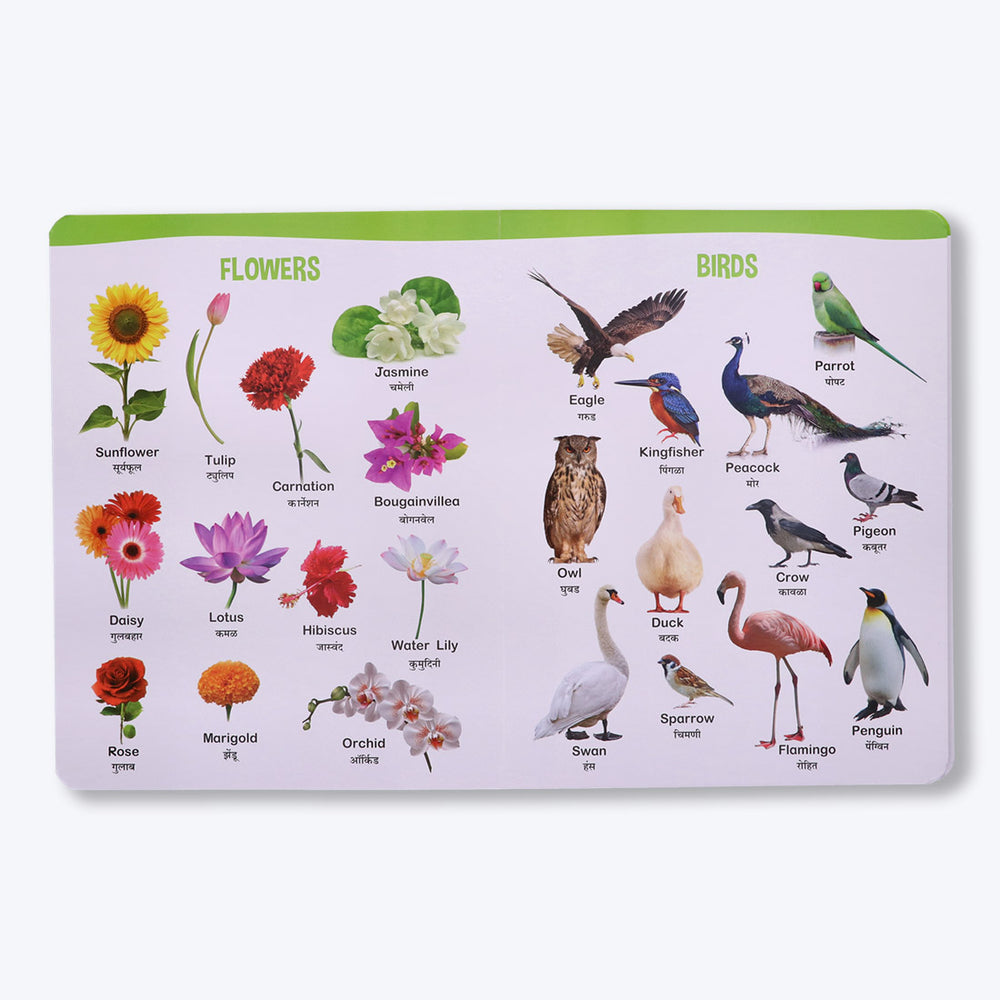 Navneet All In One Board Book (Marathi) - First Early Learning book for Kindergarten - Picture Board book for toddlers and babies - eBook - Animated interactive book - Audio Book