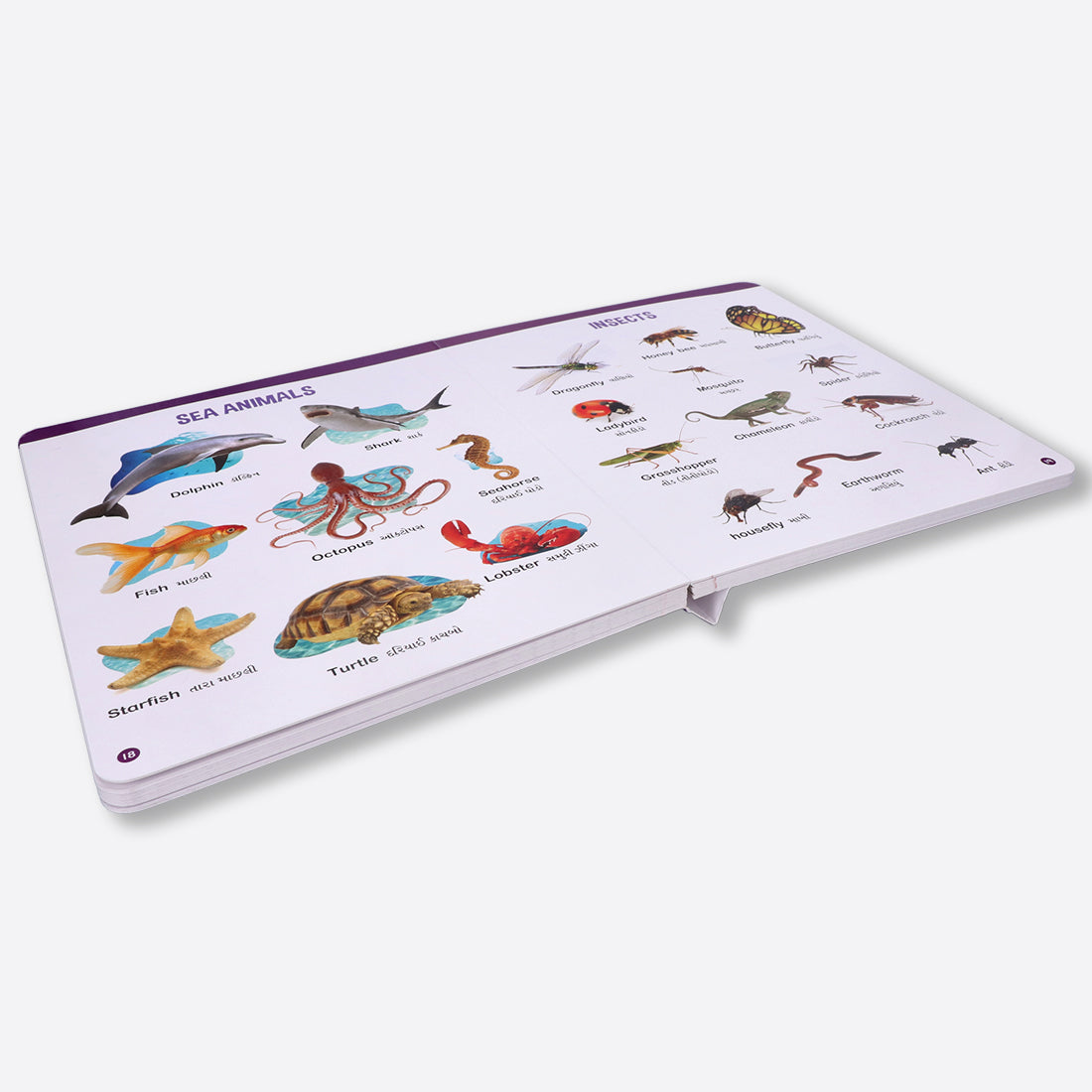 Navneet All In One Board Book (Gujarati) - First Early Learning book for Kindergarten - Picture Board book for toddlers and babies