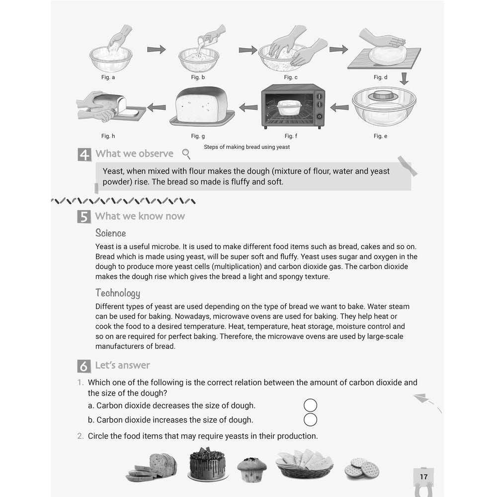 RISE EXPLORE AND LEARN SCIENCE  |  Class  IV  |
