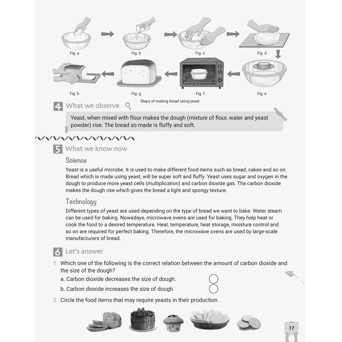 RISE EXPLORE AND LEARN SCIENCE  |  Class  IV  |
