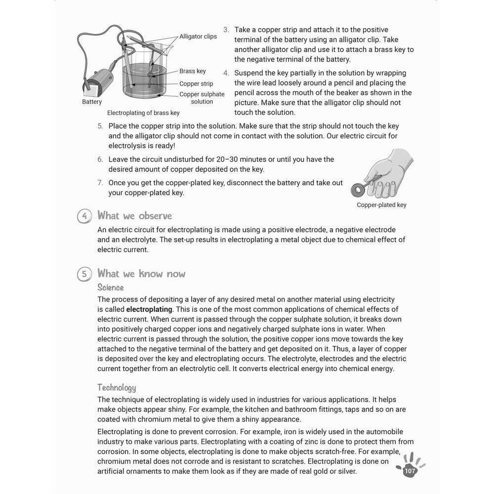 RISE EXPLORE AND LEARN SCIENCE  |  Class  VIII  |