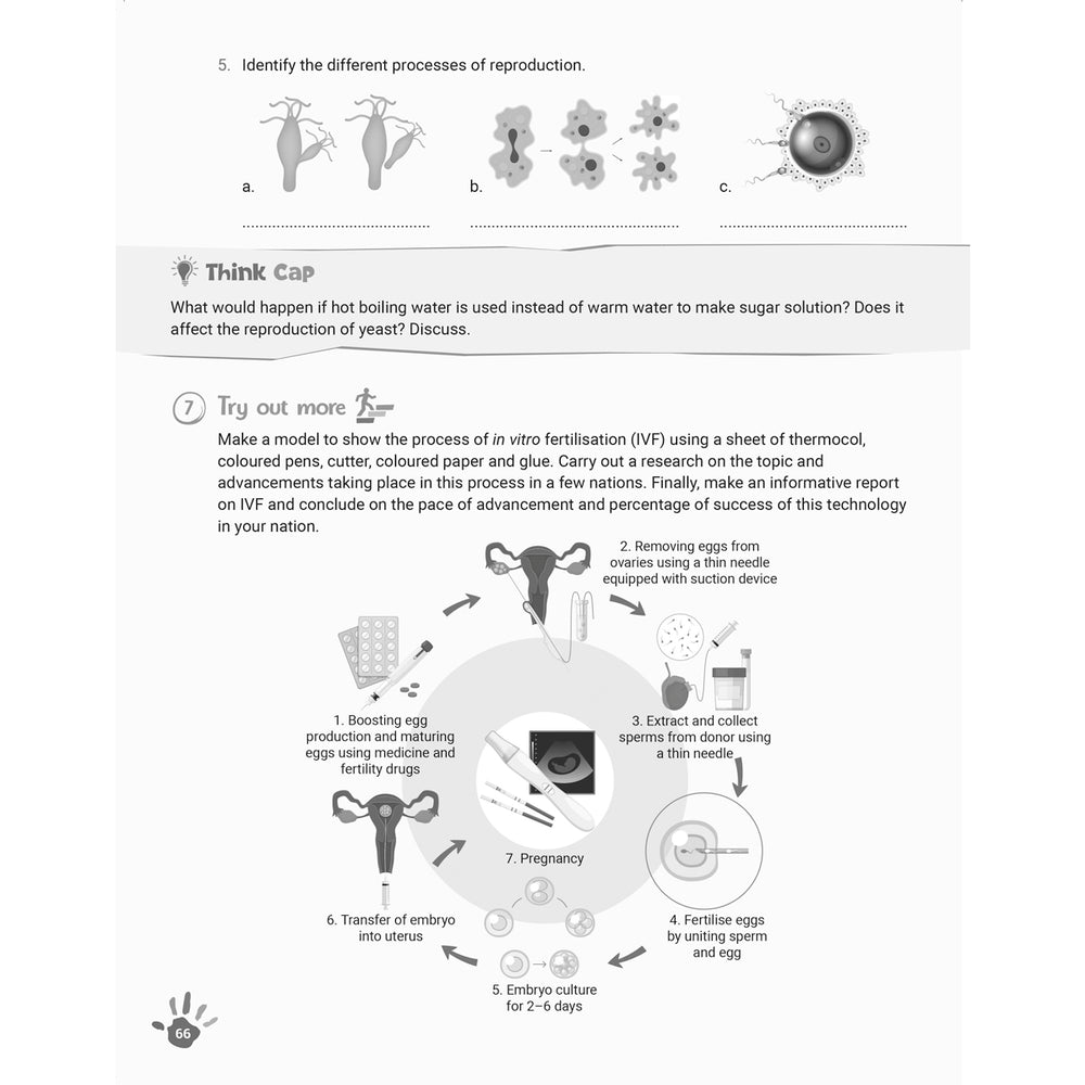 RISE EXPLORE AND LEARN SCIENCE  |  Class  VIII  |