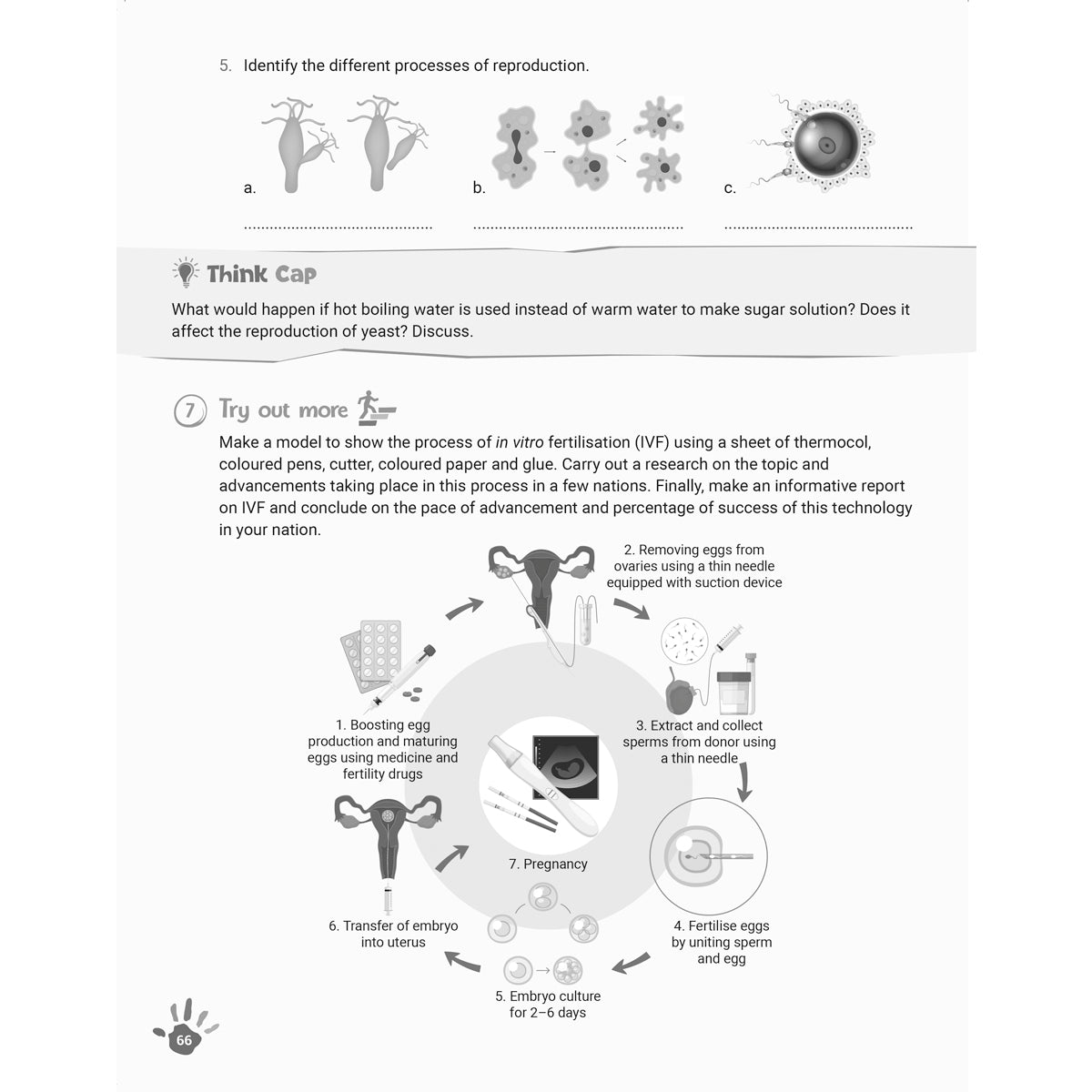 RISE EXPLORE AND LEARN SCIENCE  |  Class  VIII  |