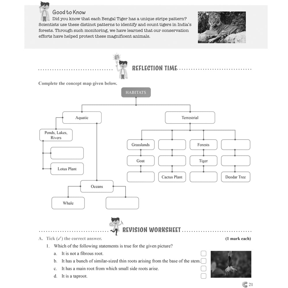 RISE DO AND LEARN SCI.NCERT COMPANION  |  Class  VI  |