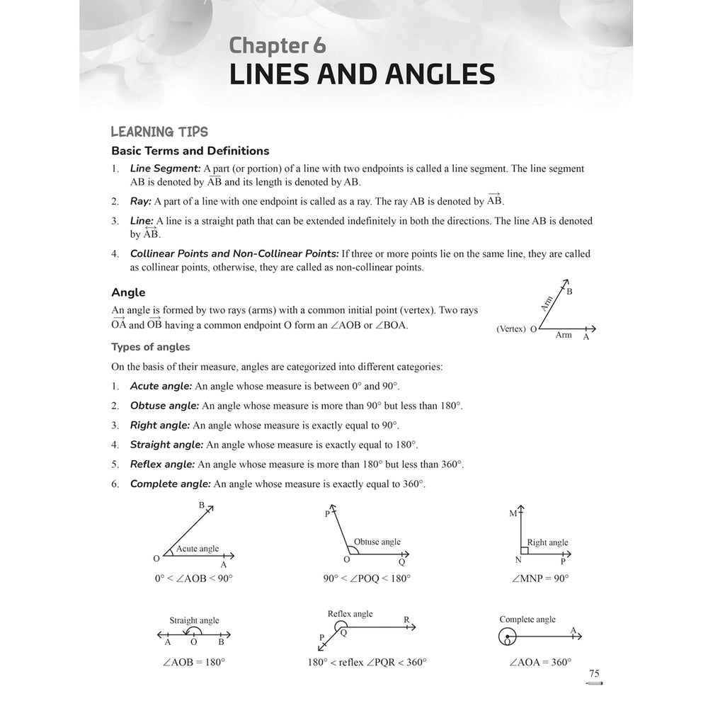 RISE DO AND LEARN MATH.NCERT COMPANION  |  Class  IX  |