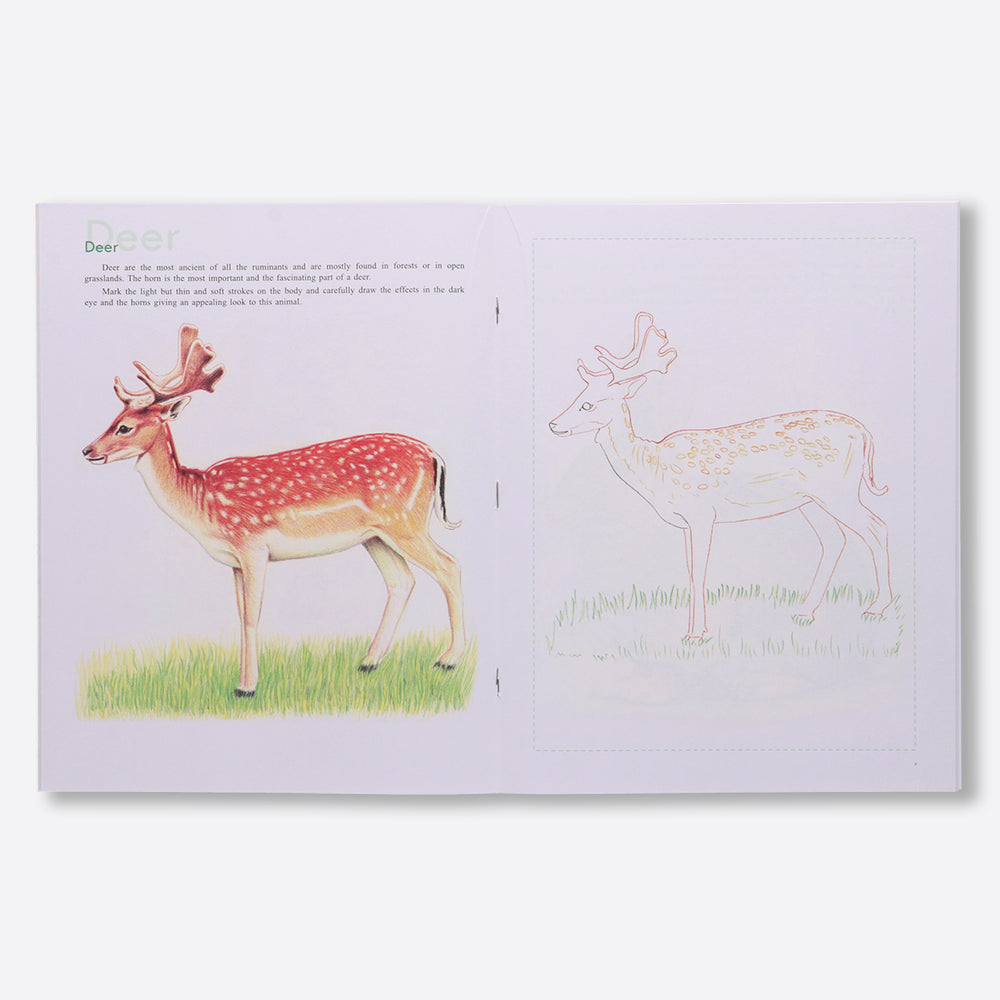 Navneet Art Of Sketching with Colour Pencils Book for Learners- the ultimate guide - Realistic Series - Learn Basic Techniques - Portrait, Flowers, Landscapes, Birds, Animals