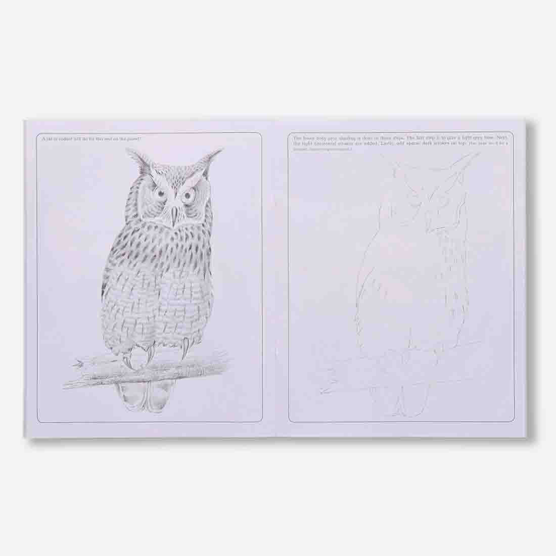Navneet Learn Pencil Shading Animals & Birds 1 and 2 – For Elementary Art Prep – How to draw Animals and Birds - Pack of 2 Books