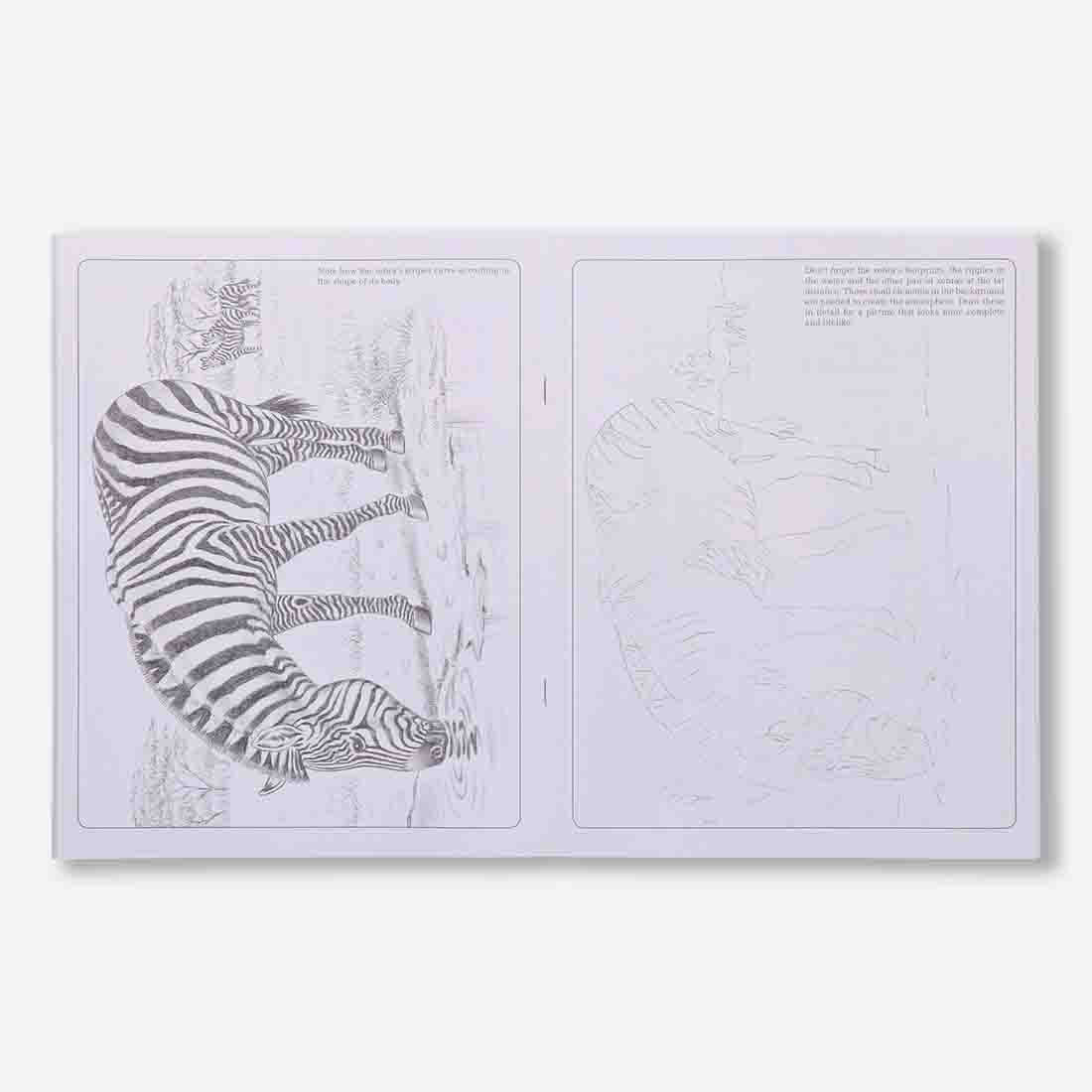 Navneet Learn Pencil Shading Animals & Birds 1 and 2 | For Elementary Art Prepration | How to draw Animals and Birds - Pack of 2 Books
