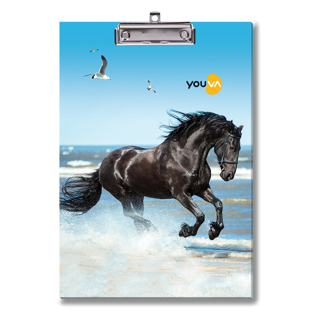 Navneet Youva Regular Exam Board for students